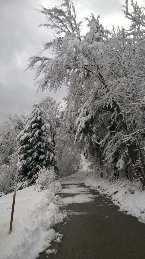 Getaway "At The Three Lights" Villa Sevnica ภายนอก รูปภาพ